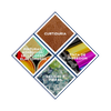 Éter Dimetílico de Dietilenglicol (DDM)