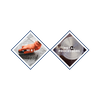 Sodium Dodecylbenzenesulfonate