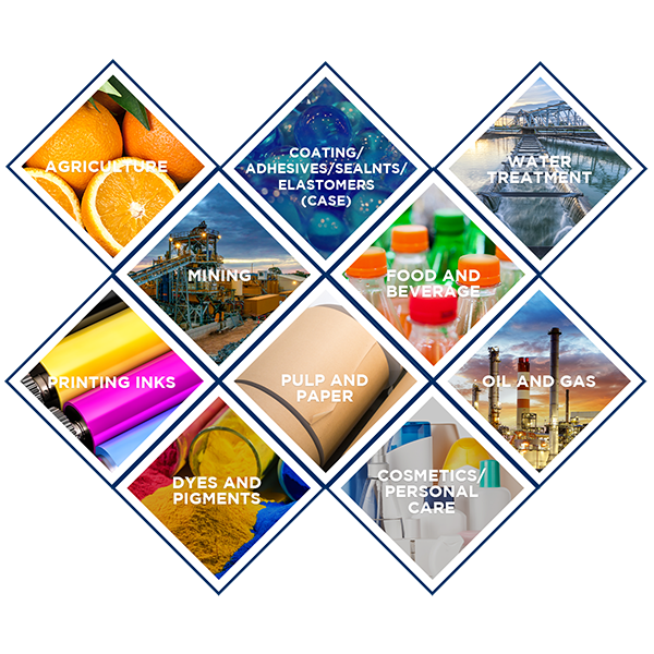 COATING/ADHESIVES/SEALANTS/ELASTOMERS (CASE) Aktopa